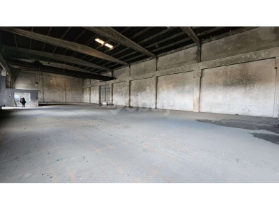 WhatsApp Image 2026-03-30 at 20.45.12 (5).jpeg